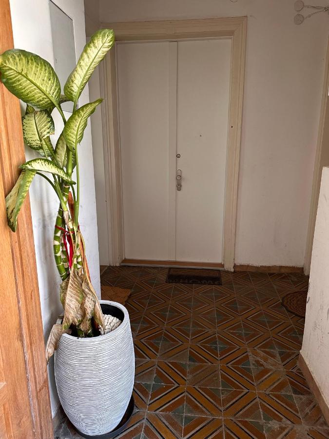 Cozy Apartment Elterleinplatz - Quiet & Close To Center 维也纳 外观 照片